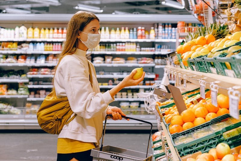 Segurança alimentar e controle de pragas: entenda a relação